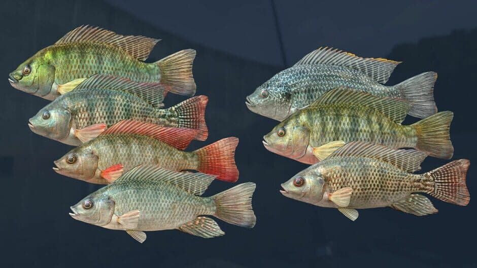 Ultimate Fishing Simulator - Kariba Dam screenshot 4