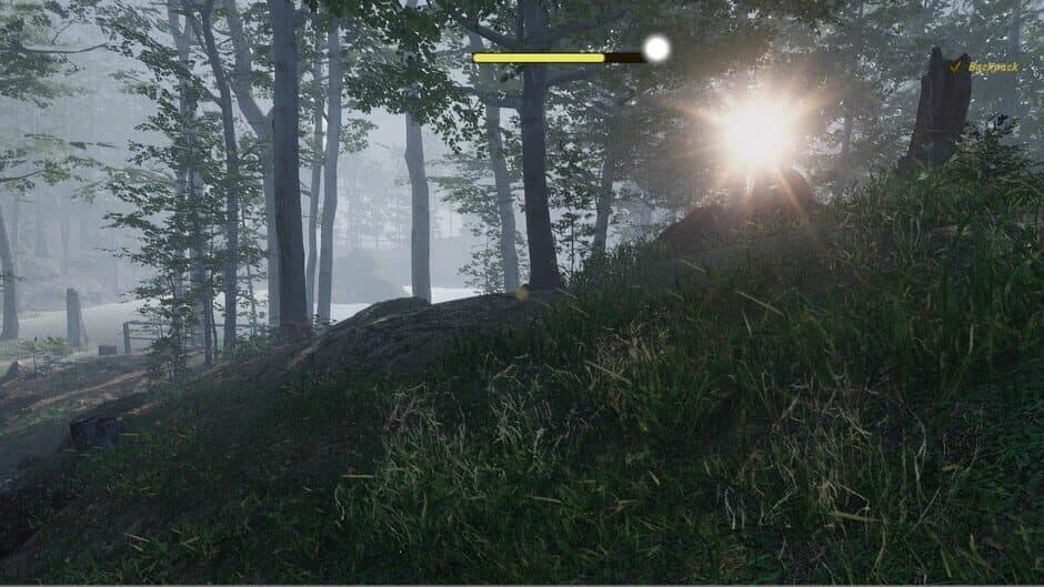 Naturalist Stories screenshot 3