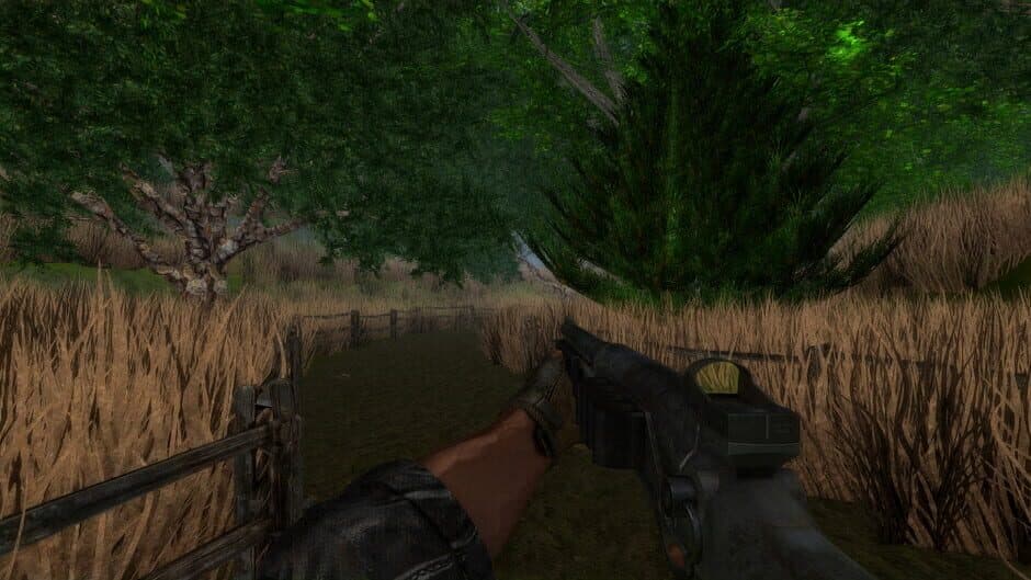 Dragon Storm screenshot 3