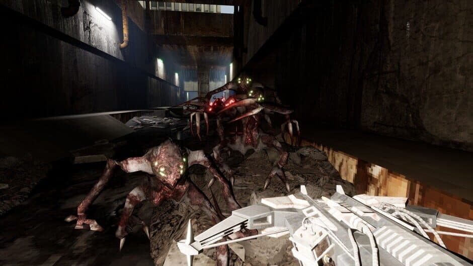 Anomalous screenshot 1