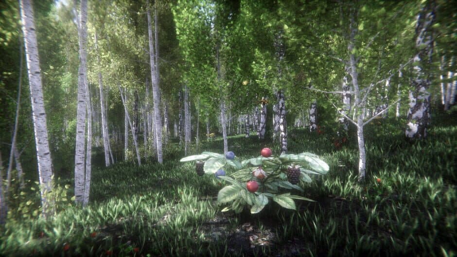 Berries Challenge screenshot 2