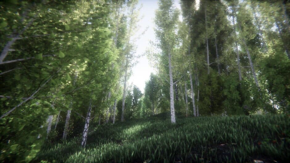 Berries Challenge screenshot 4