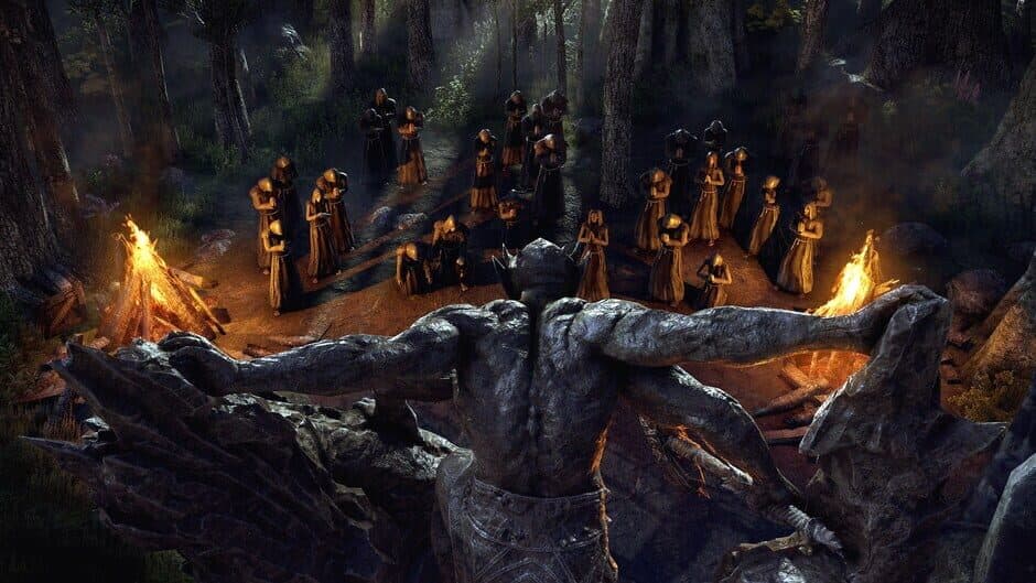 The Elder Scrolls Online Collection: Blackwood screenshot 5