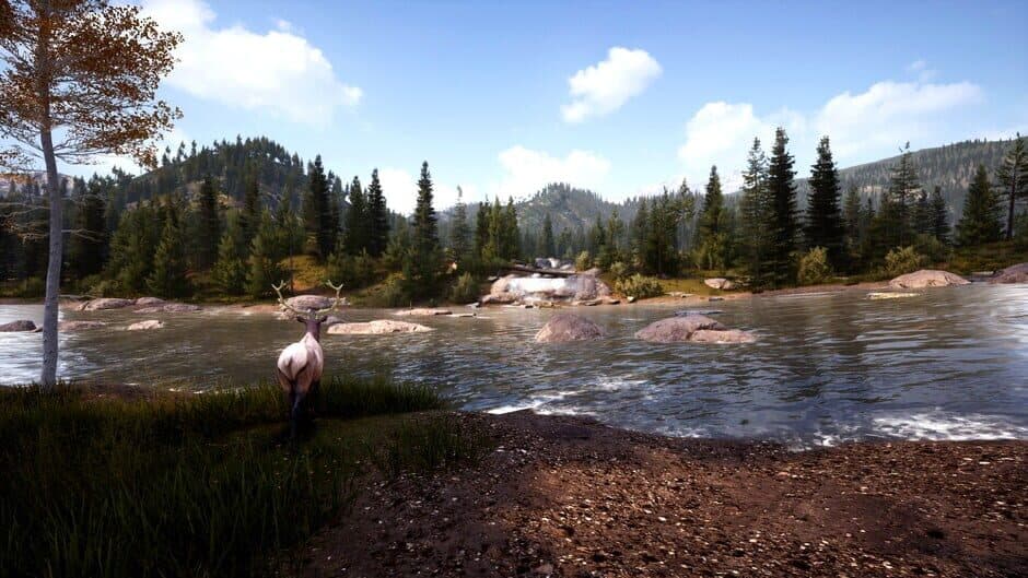 Hunting Simulator 2 Elite Edition screenshot 2