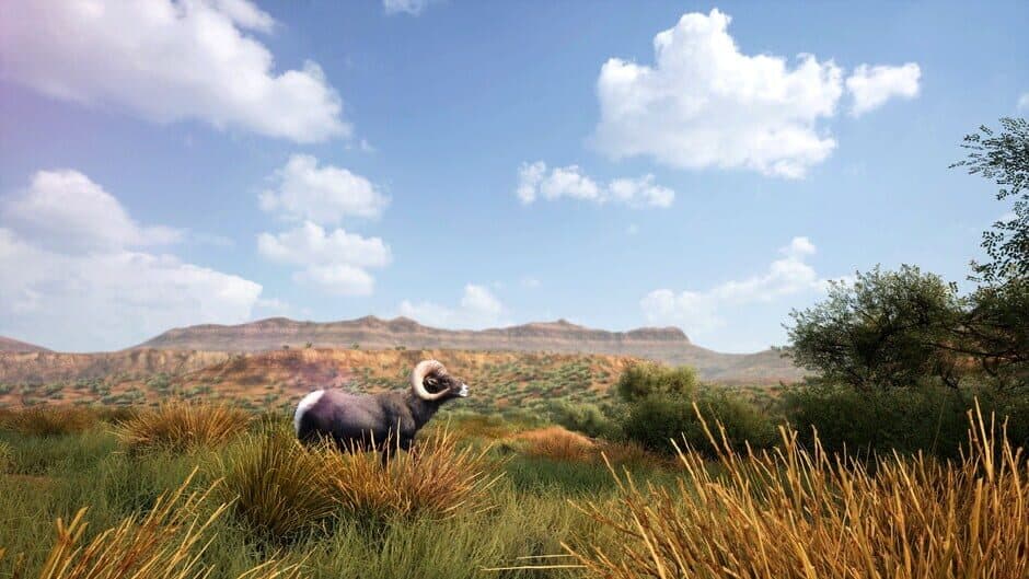 Hunting Simulator 2 Elite Edition screenshot 1