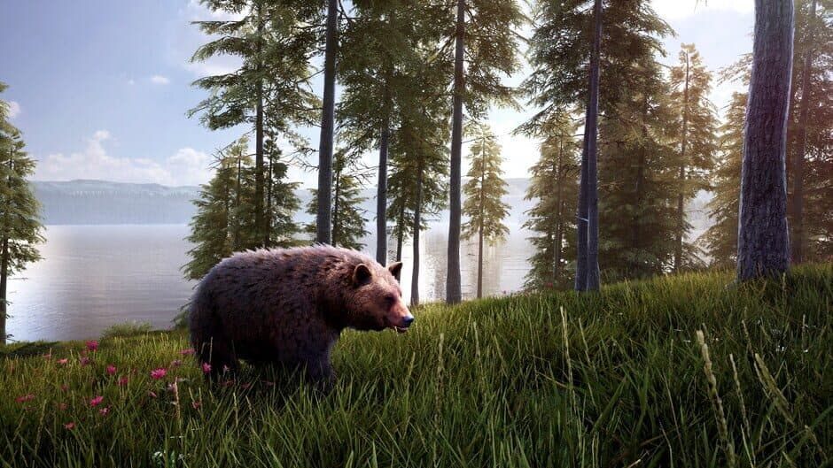 Hunting Simulator 2 Bear Hunter Edition screenshot 5