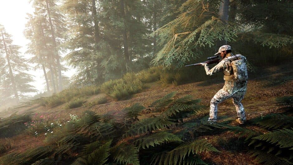 Hunting Simulator 2 Bear Hunter Edition screenshot 4