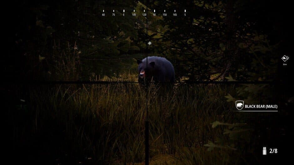 Hunting Simulator 2 Bear Hunter Edition screenshot 2