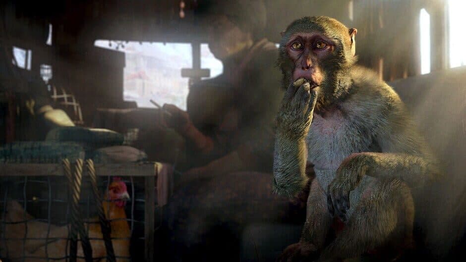 Far Cry 4 + Far Cry Primal screenshot 3