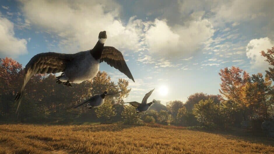 theHunter: Call of the Wild 2019 Edition screenshot 2
