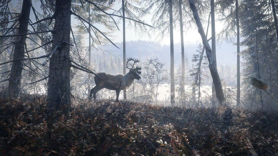 theHunter: Call of the Wild 2019 Edition screenshot 3