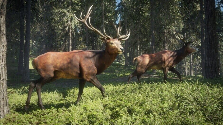 theHunter: Call of the Wild 2019 Edition screenshot 4