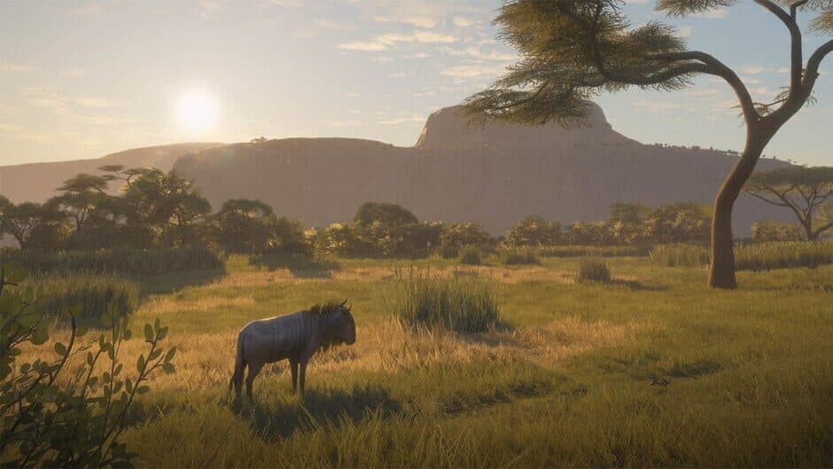 theHunter: Call of the Wild 2019 Edition screenshot 5