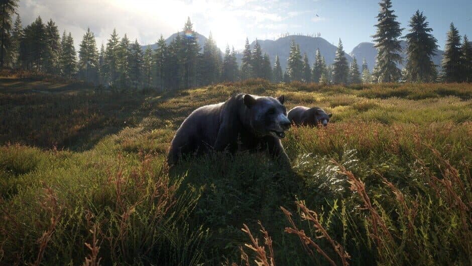 theHunter: Call of the Wild 2019 Edition screenshot 6