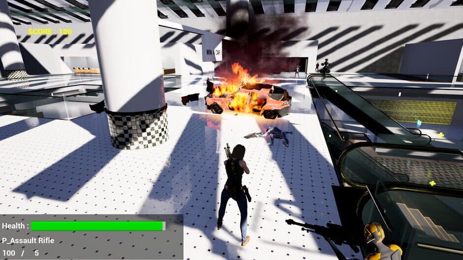DEBIE ZONE screenshot 2