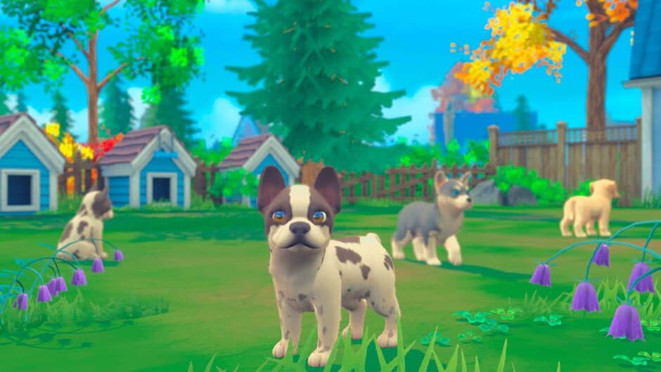 My Universe - Puppies & Kittens screenshot 2