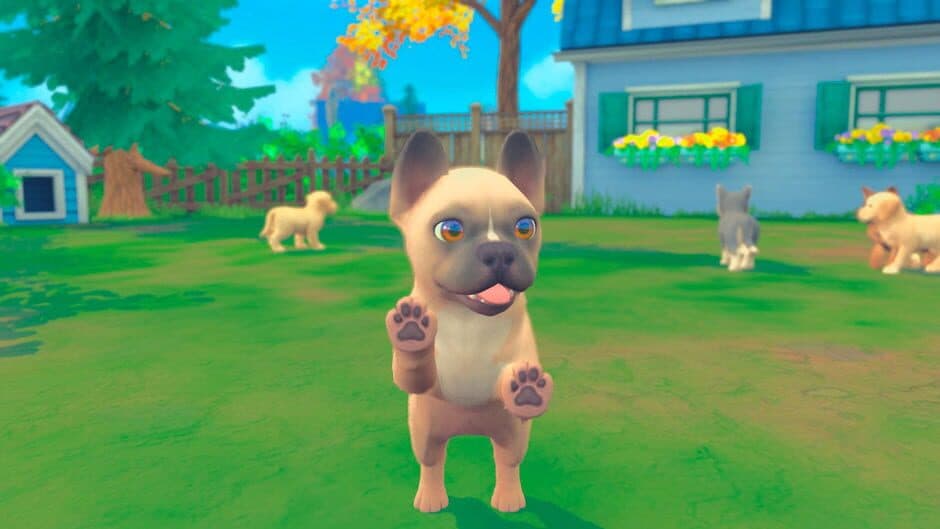 My Universe - Puppies & Kittens screenshot 3