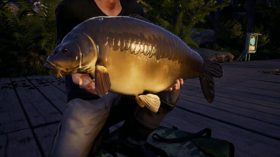 Euro Fishing - Waldsee screenshot 2