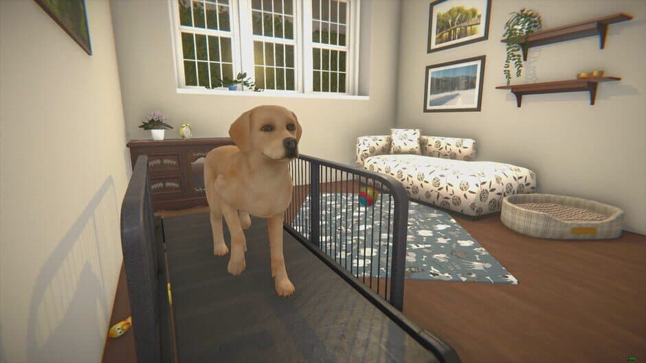 House Flipper - Pets DLC screenshot 2