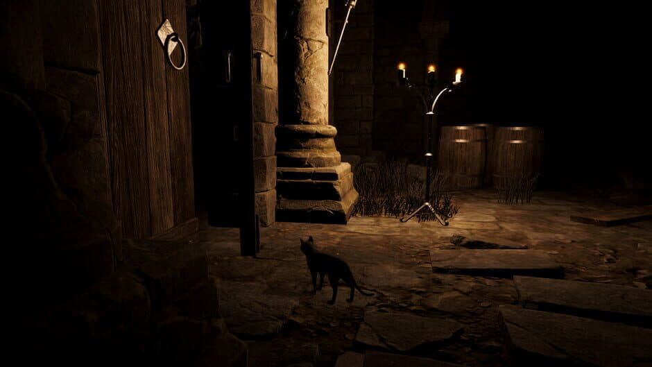 Catsploration screenshot 2