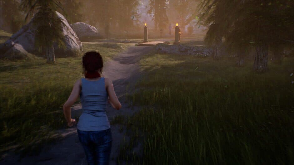Fira screenshot 6