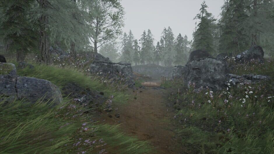 Fira screenshot 1