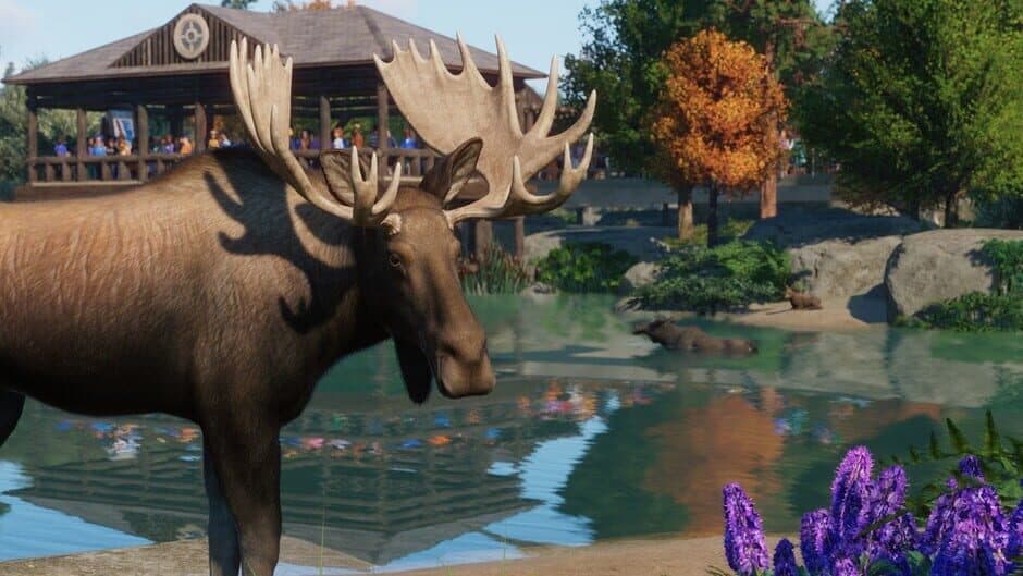 Planet Zoo - North America Animal Pack screenshot 2