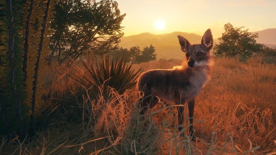 theHunter: Call of the Wild 2022 Edition screenshot 5