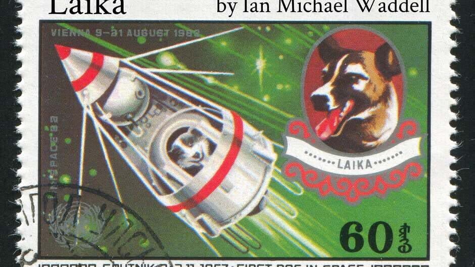 Laika screenshot 1