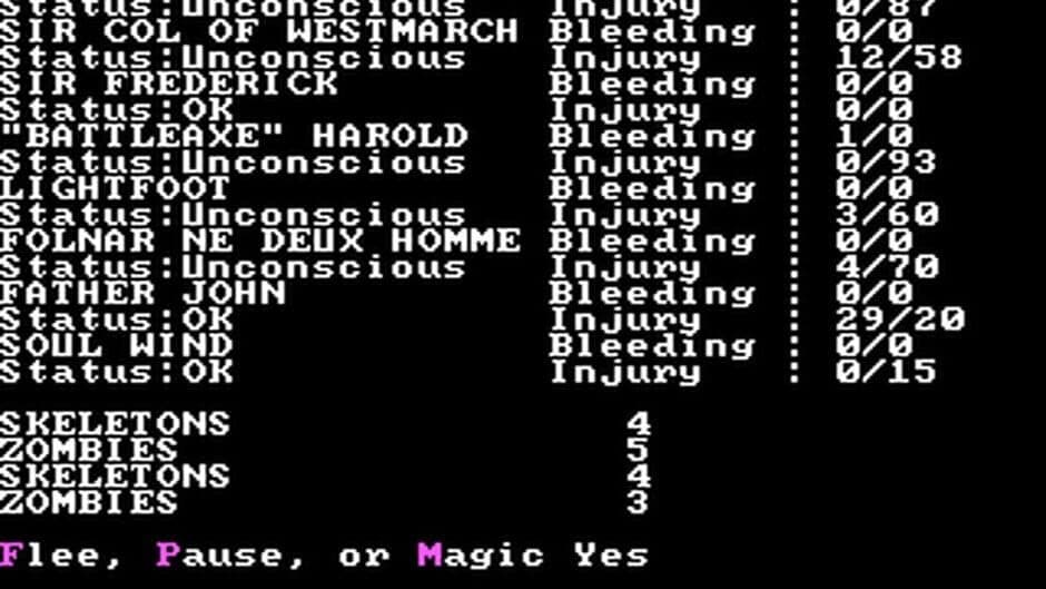 Wizard's Crown screenshot 2
