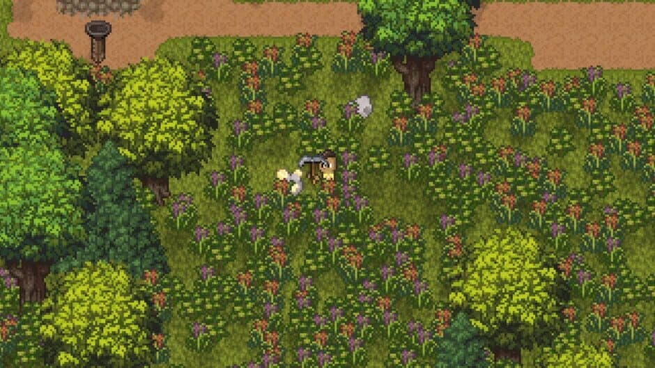 Island Berry screenshot 1