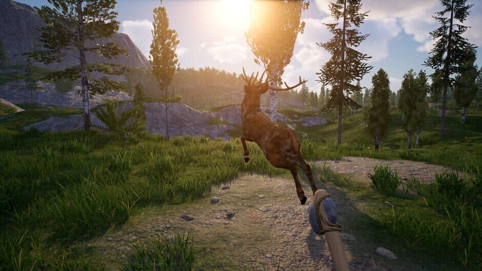 Far Lands screenshot 6
