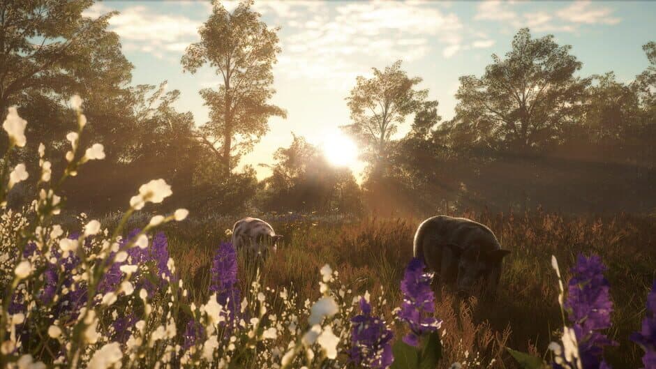 theHunter: Call of the Wild - Mississippi Acres Preserve screenshot 1