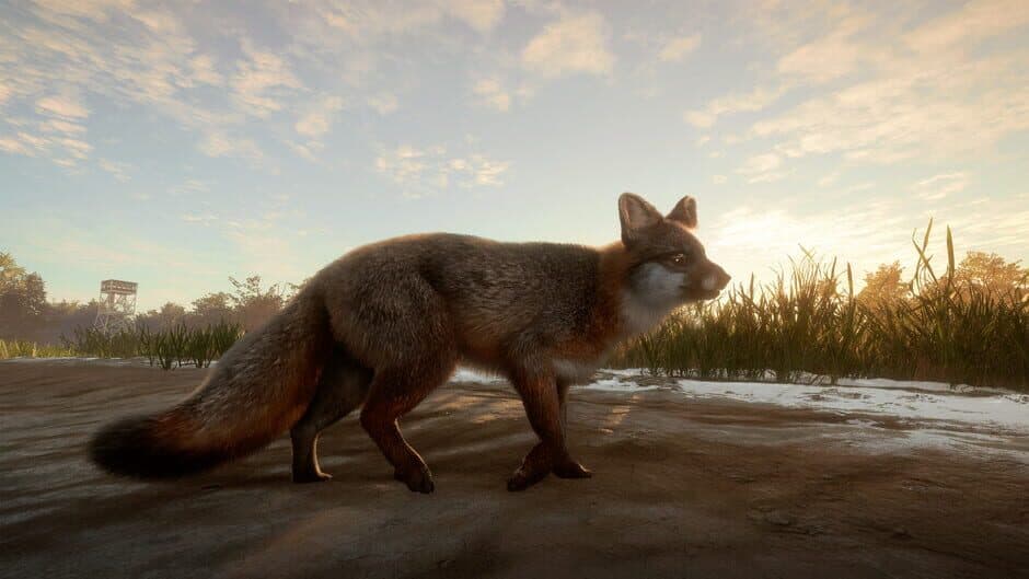 theHunter: Call of the Wild - Mississippi Acres Preserve screenshot 3