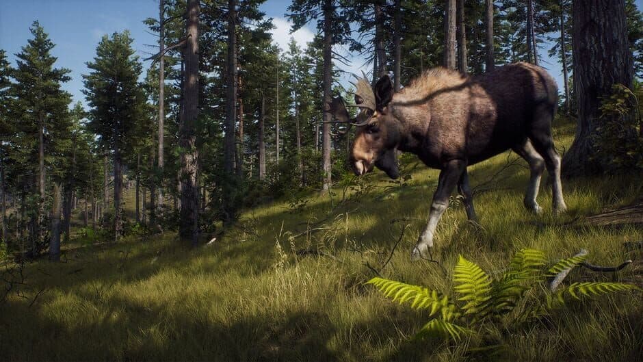 Way of the Hunter screenshot 6