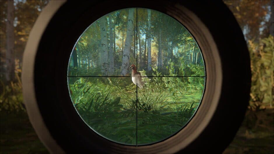 theHunter: Call of the Wild - Revontuli Coast screenshot 6