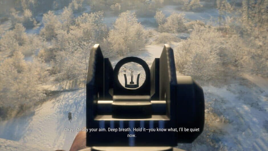 theHunter: Call of the Wild - Modern Rifle Pack screenshot 2