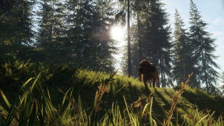 theHunter: Call of the Wild - Bloodhound screenshot 2