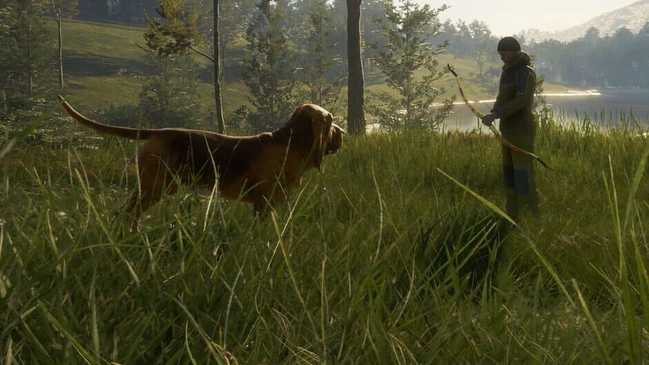 theHunter: Call of the Wild - Bloodhound screenshot 3