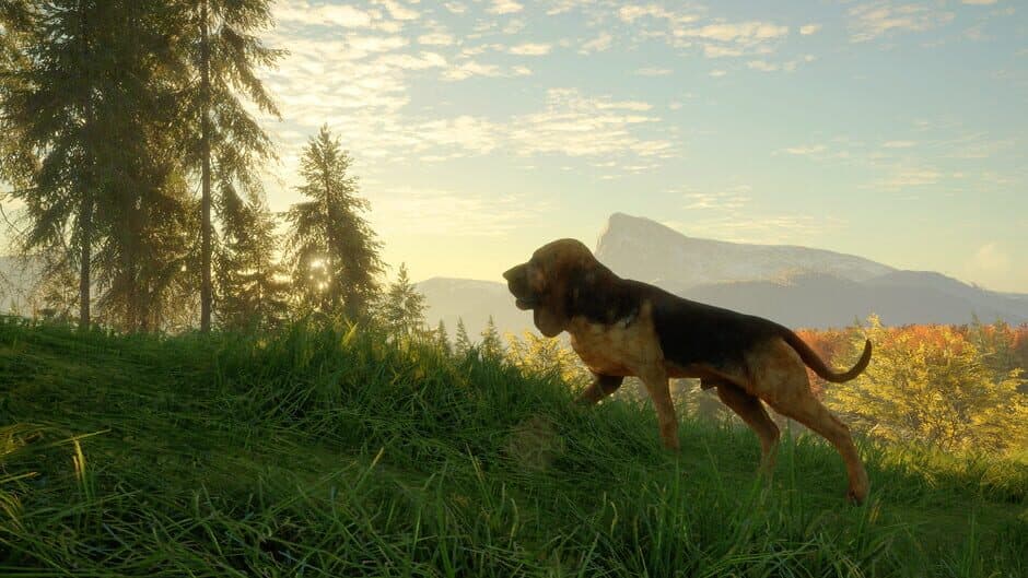 theHunter: Call of the Wild - Bloodhound screenshot 4
