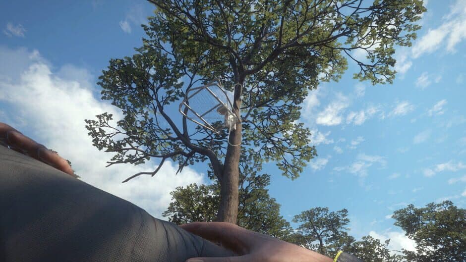 theHunter: Call of the Wild - Treestand & Tripod Pack screenshot 4