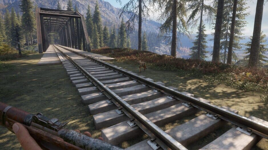 theHunter: Call of the Wild - Weapon Pack 2 screenshot 2