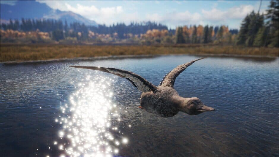 theHunter: Call of the Wild - Duck and Cover screenshot 2