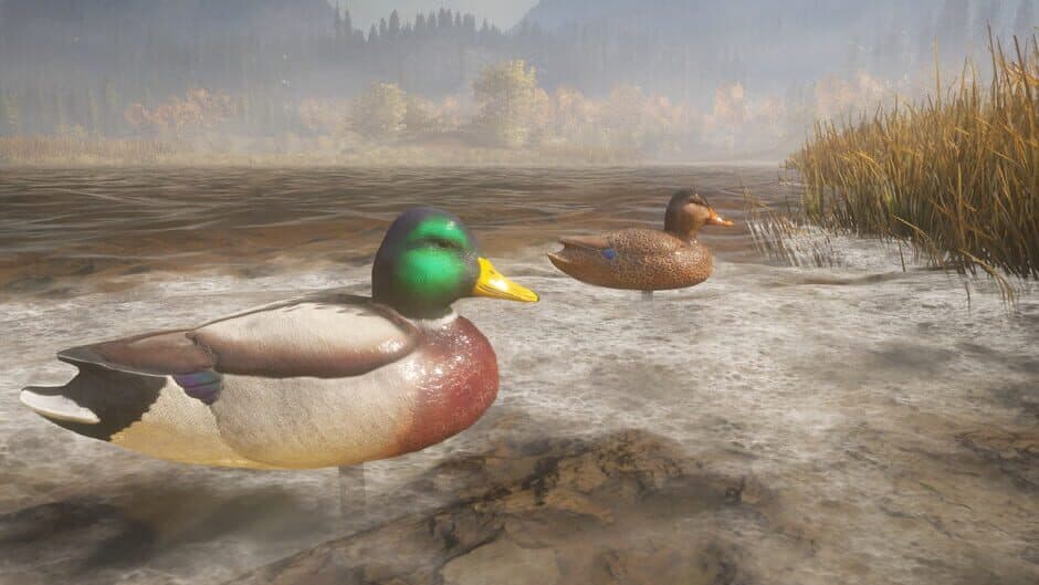 theHunter: Call of the Wild - Duck and Cover screenshot 4