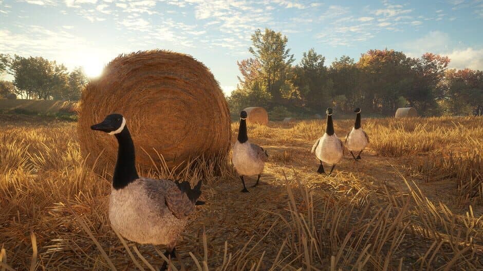 theHunter: Call of the Wild - Wild Goose Chase Gear screenshot 4