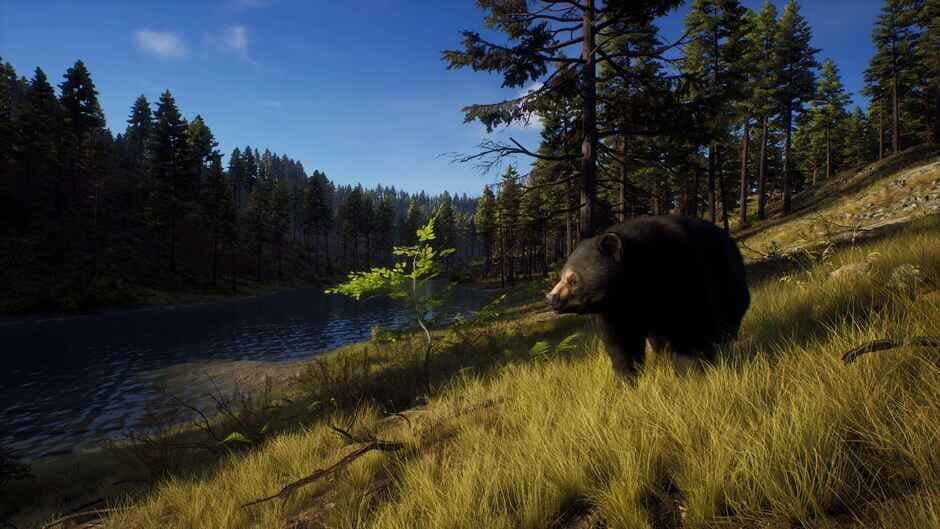 Way of the Hunter: Elite Edition screenshot 2
