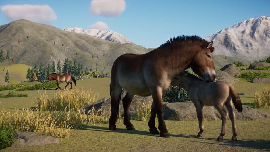 Planet Zoo: Conservation Pack screenshot 4