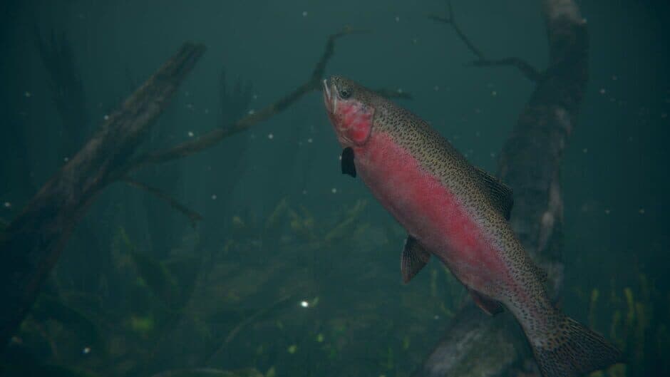 Ultimate Fishing Simulator 2 screenshot 1