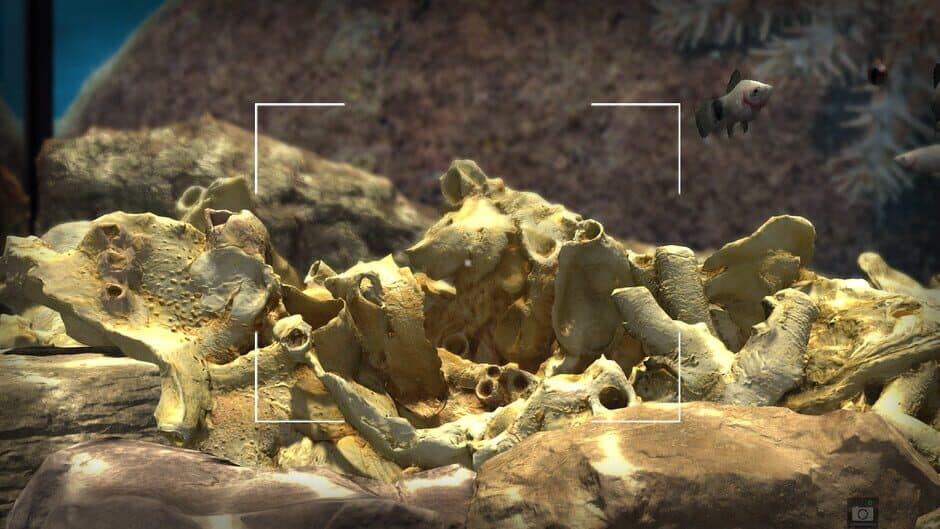 Snapshot Aquarium screenshot 6