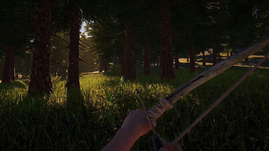 Singularity screenshot 2